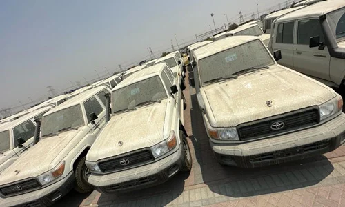 Car Merchandising Services